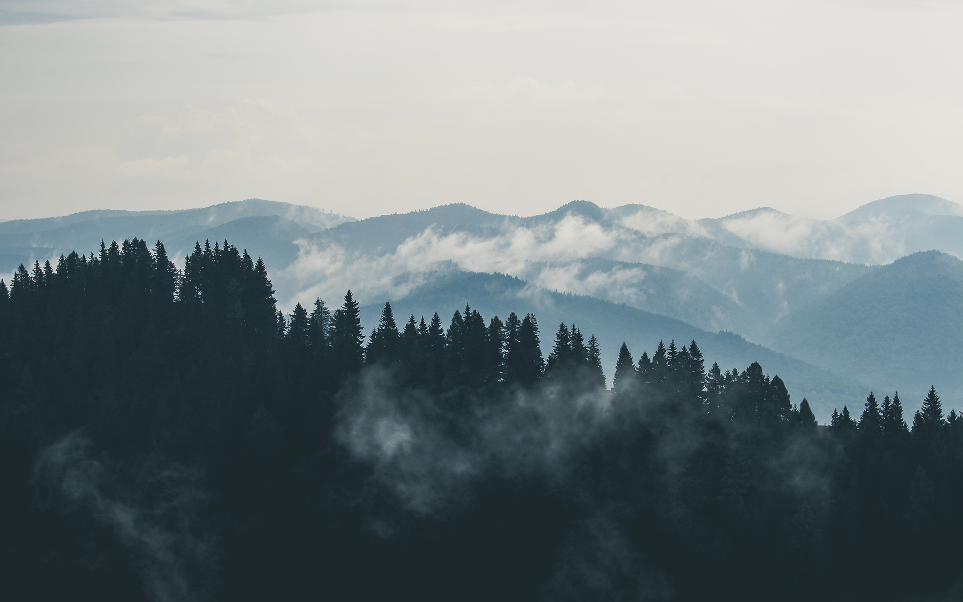 Mountain рингтон. Горы в тумане. Пейзаж Минимализм. Лес горы. Лес и горы Эстетика.