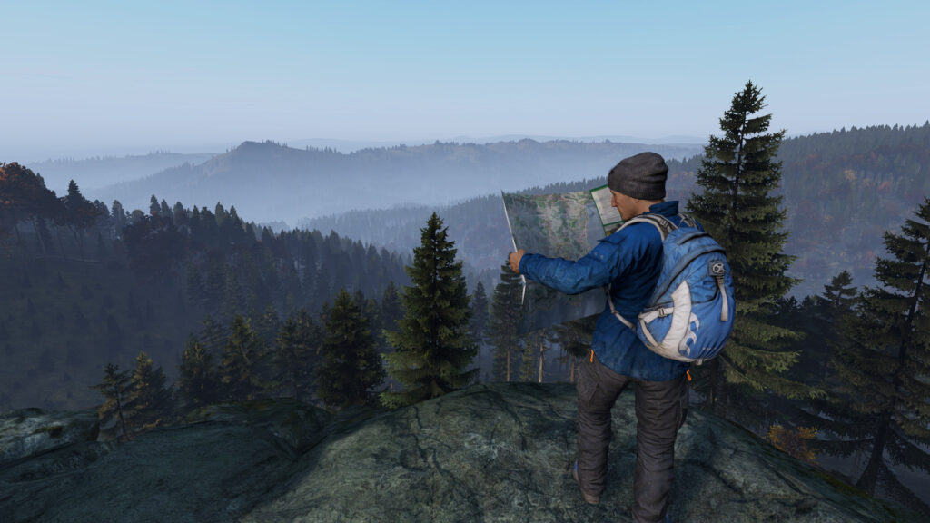 Is DayZ single player gameplay possible?